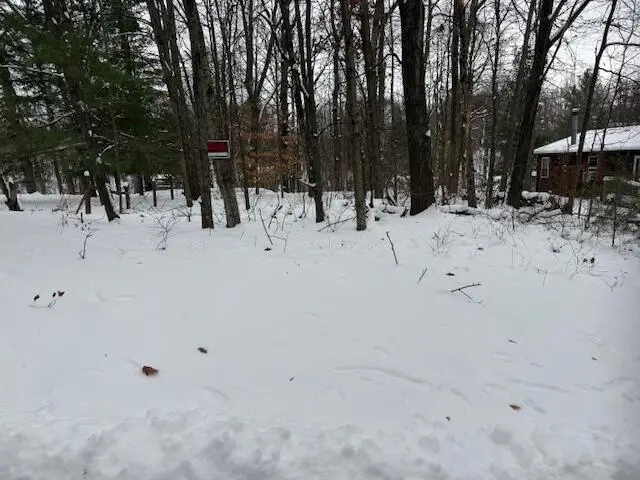 9861 E School Section Lake Drive, Mecosta, MI 49332 - Image #1