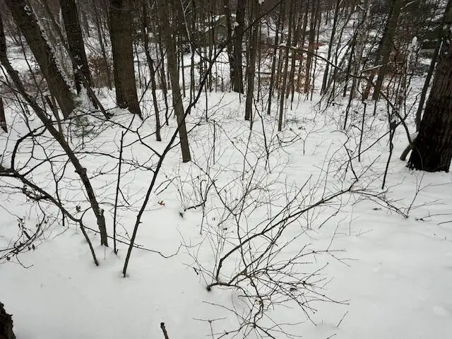 9861 E School Section Lake Drive, Mecosta, MI 49332 - Image #3