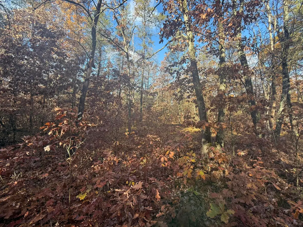 3544 S Cornell Avenue, Baldwin, MI 49304 - Image #1