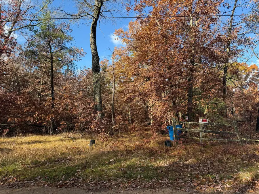 3544 S Cornell Avenue, Baldwin, MI 49304 - Image #3