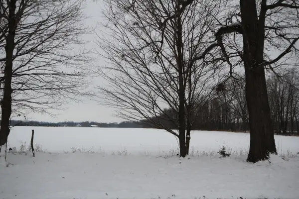 8016 E Xy Avenue, Vicksburg, MI 49097