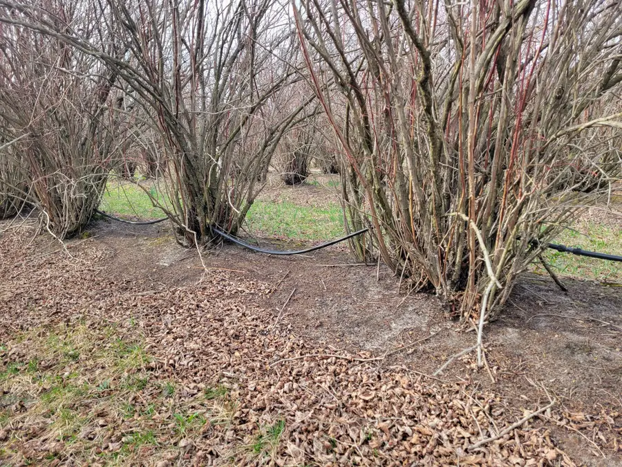 V/L 72nd Street, Covert, MI 49043 - Image #3