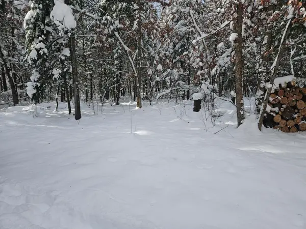 7106 N M-37, Irons, MI 49644