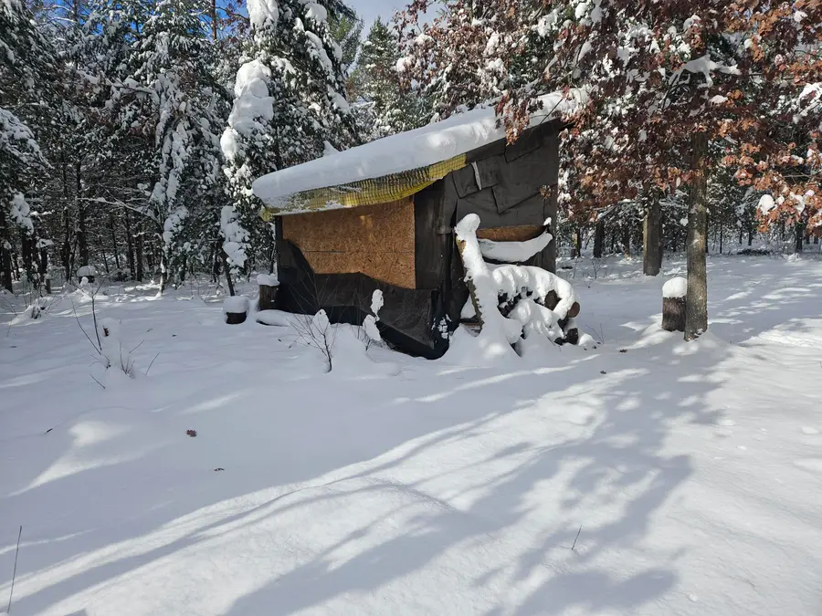 7106 N M-37, Irons, MI 49644 - Image #2