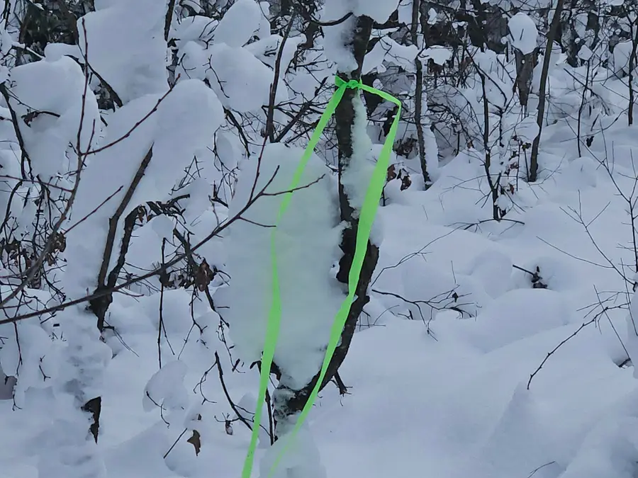 7106 N M-37, Irons, MI 49644 - Image #3