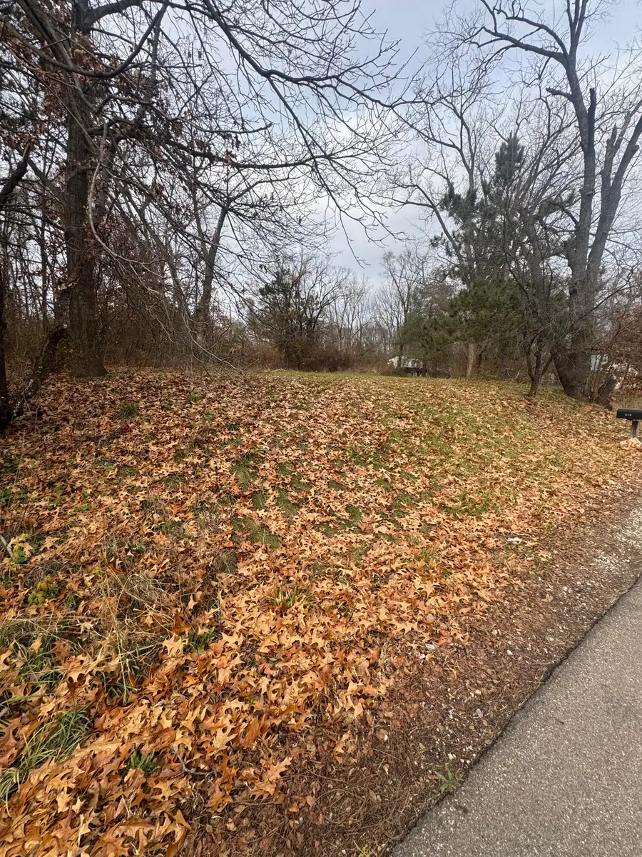 517 Bowers Avenue, Battle Creek, MI 49014 - Image #2