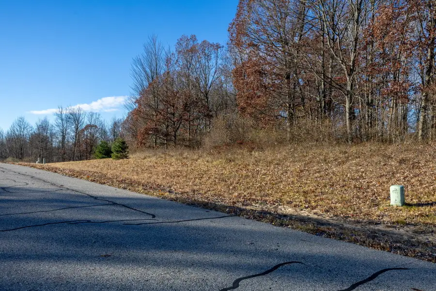 11549 Shamrock Court, Stanwood, MI 49346 - Image #2