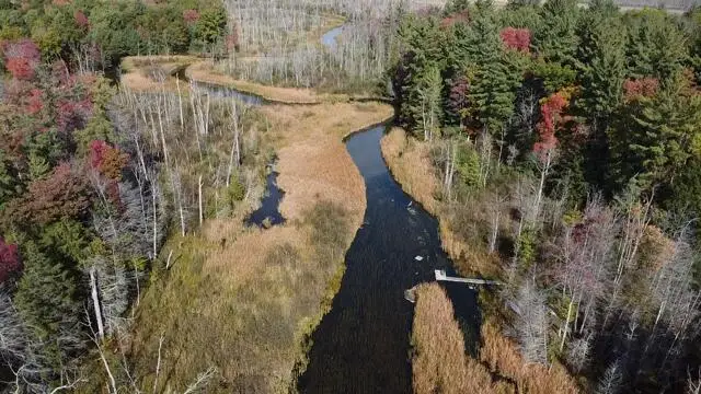 5683 Tyndal Road, Branch, MI 49402 - Image #3