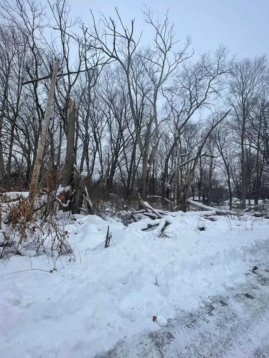 V/l 13th And Cypress Court, Three Rivers, MI 49093 - Image #3