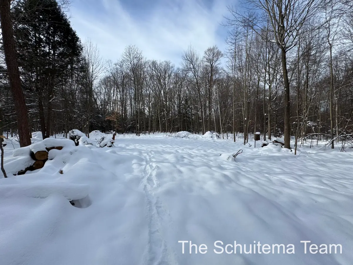 V/L Hickory Street, Fruitport, MI 49415 - Image #1