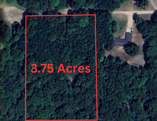 3.75 Acres Wayne Road, Pentwater, MI 49449
