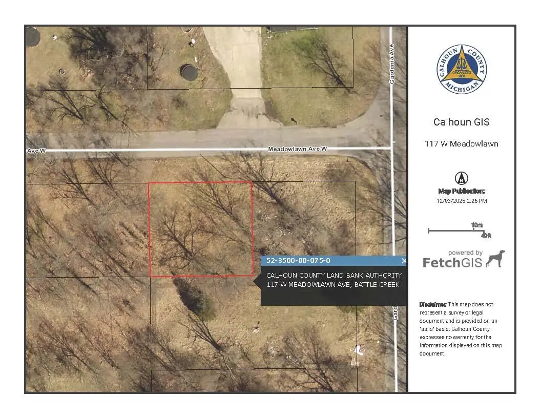 117 W Meadowlawn Avenue, Battle Creek, MI 49037 - Image #1