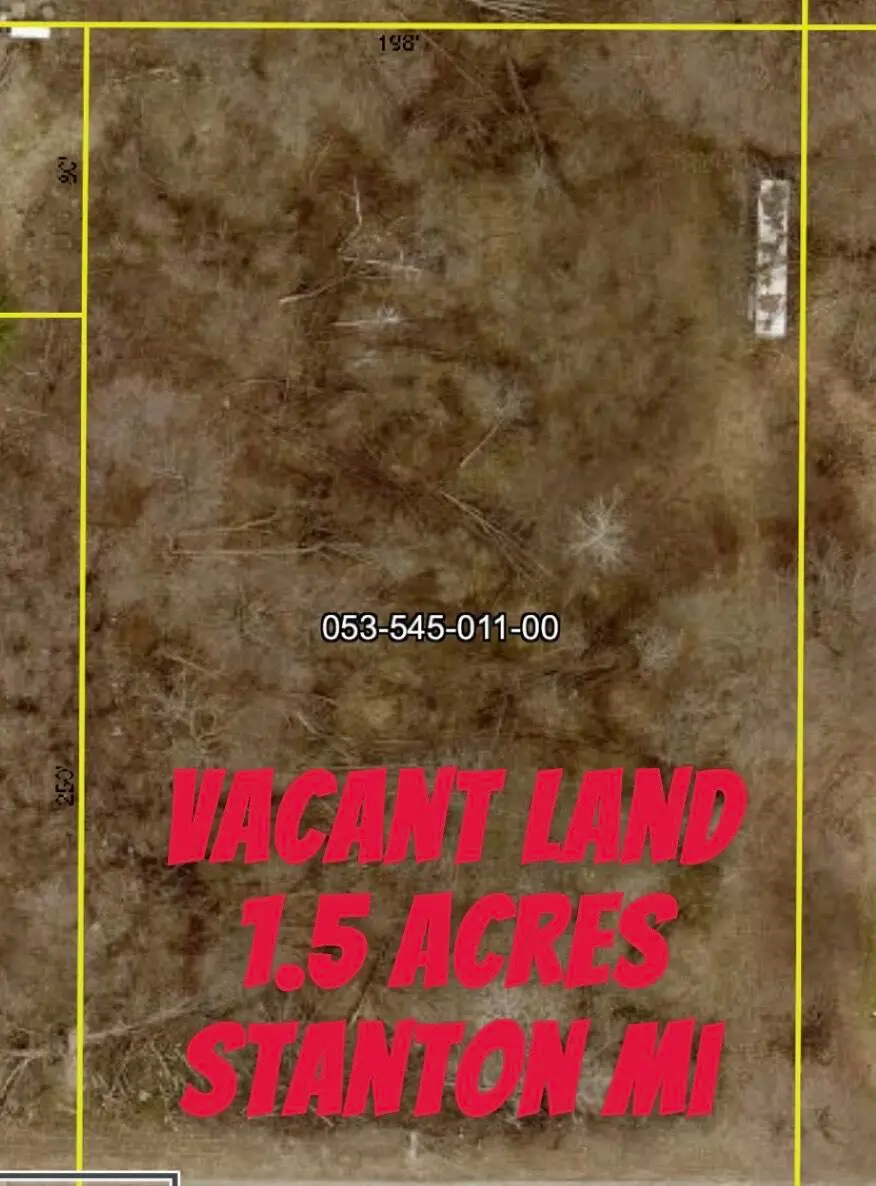 E 1st Street, Stanton, MI 48888 - Image #1