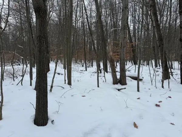 12066 Red Feather Lane, Canadian Lakes, MI 49346