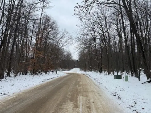 12066 Red Feather Lane, Canadian Lakes, MI 49346 - Image #3