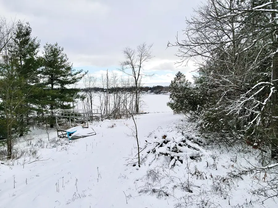 VL W Cannonsville Road, Trufant, MI 49347 - Image #2