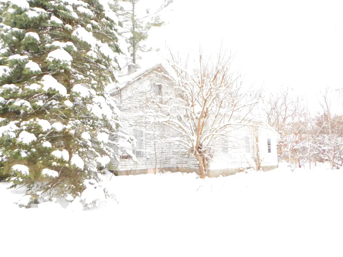 111 E Saint Marys Street, Decatur, MI 49045 - Image #1