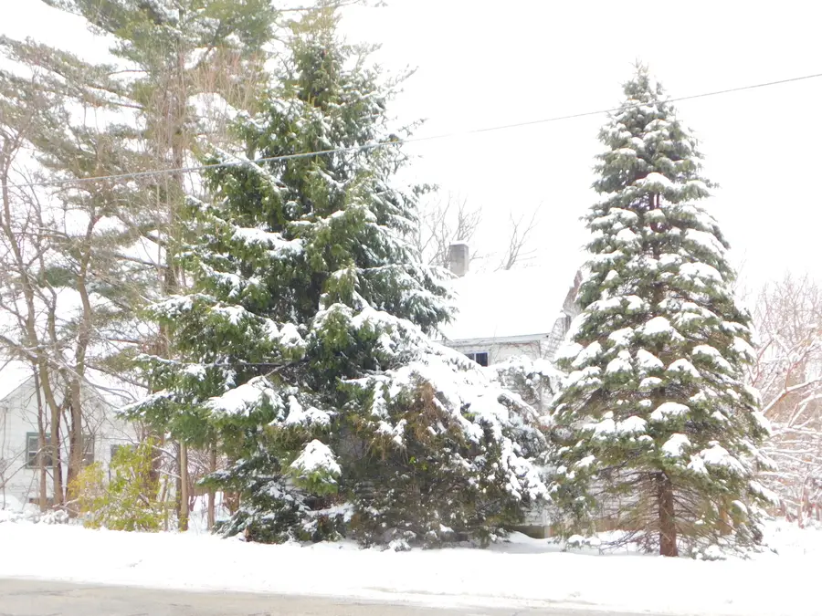 111 E Saint Marys Street, Decatur, MI 49045 - Image #2