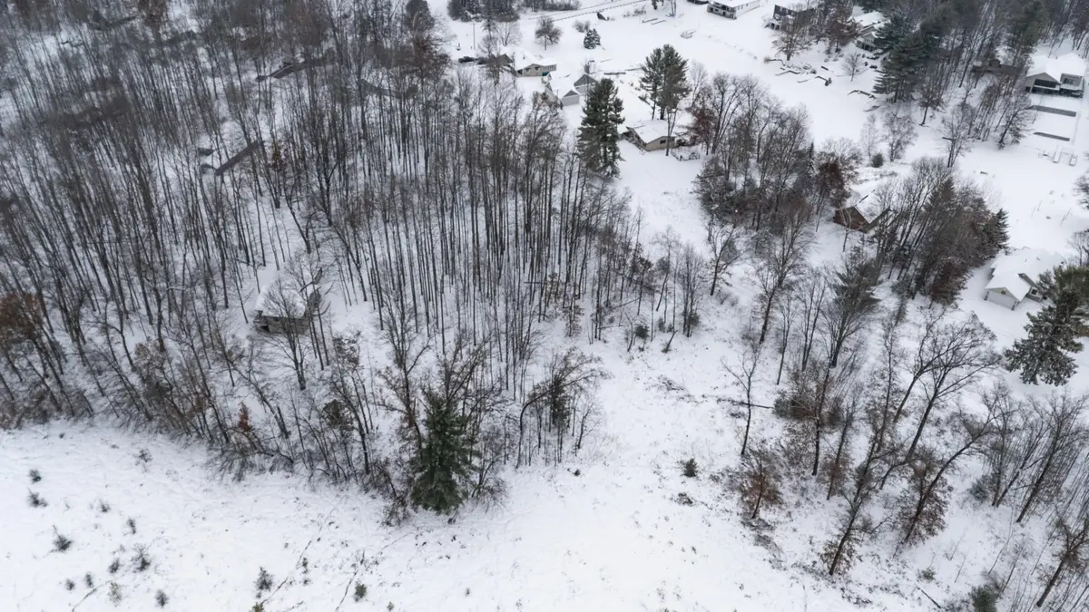 8209 West Royal Rd, Canadian Lakes, MI 49346 - #1