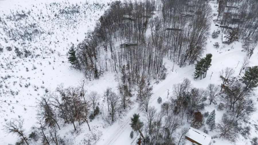 8209 West Royal Rd, Canadian Lakes, MI 49346 - #3