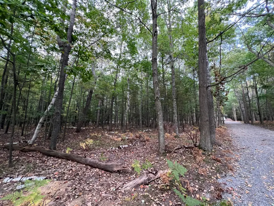 10650 Old Freesoil, Free Soil, MI 49411 - Image #2