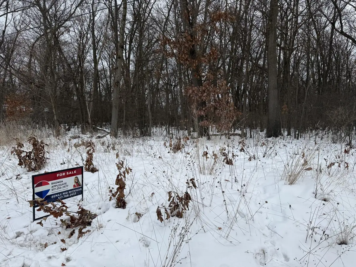 0 N Brown Street, Jackson, MI 49202 - Image #1