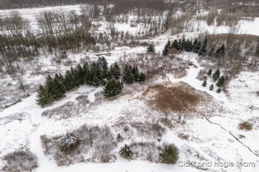 11670 Jessup Road, Muir, MI 48860 - Image #3