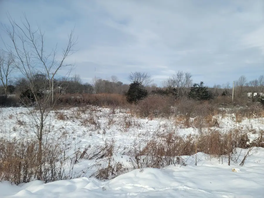 535 135th Avenue, Wayland, MI 49348 - Image #3