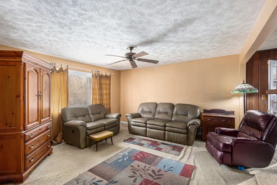 100 Burt Avenue, Jackson, MI 49201 - Image #3