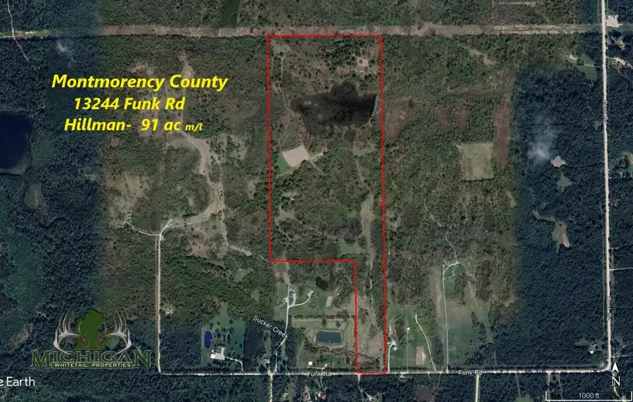 13396 Funk Road, Hillman, MI 49746 - Image #3