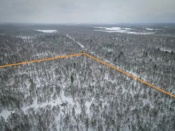 V/L Rybicki Road, Free Soil, MI 49411