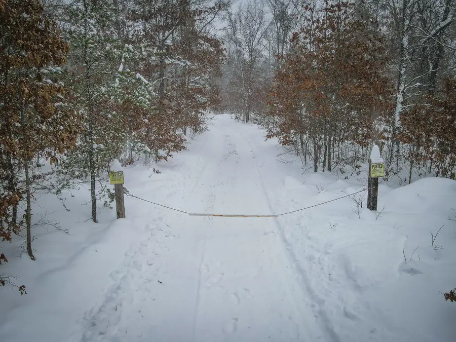 V/L Rybicki Road, Free Soil, MI 49411 - Image #2