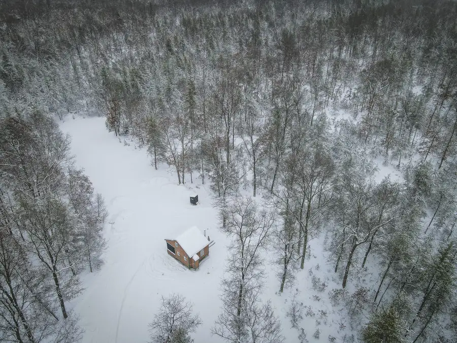 V/L Rybicki Road, Free Soil, MI 49411 - Image #3