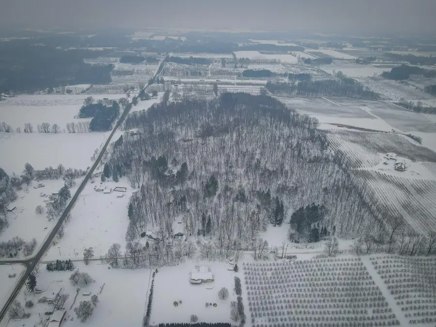 Parcel B S 88th Avenue, New Era, MI 49446 - Image #3