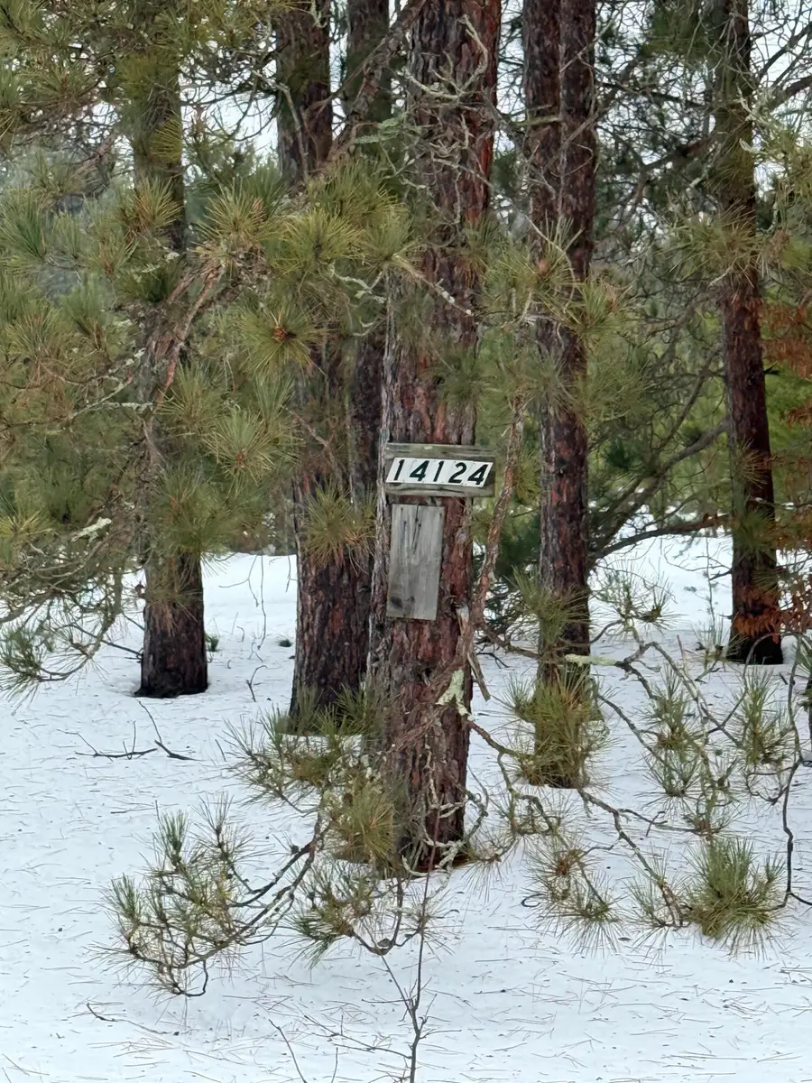 14124 Healy Lake Road, Bear Lake, MI 49614 - Image #2