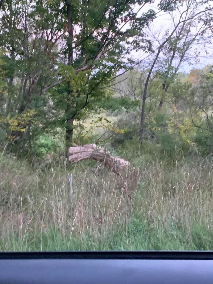 30th Avenue, Remus, MI 49340 - Image #3