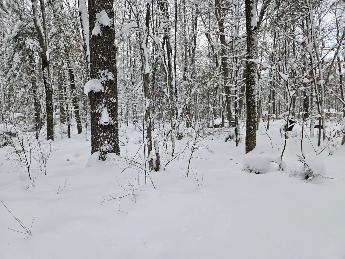 V/L S Whalen Lake Road, Baldwin, MI 49304 - Image #1