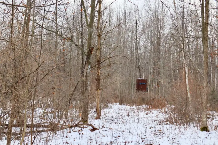 W Dana Rd Road, Coleman, MI 48618 - Image #2