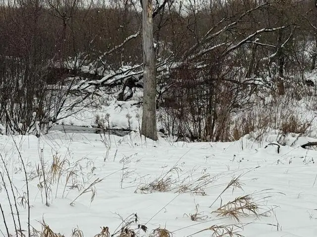 Apache Pass, Reed City, MI 49677 - Image #1