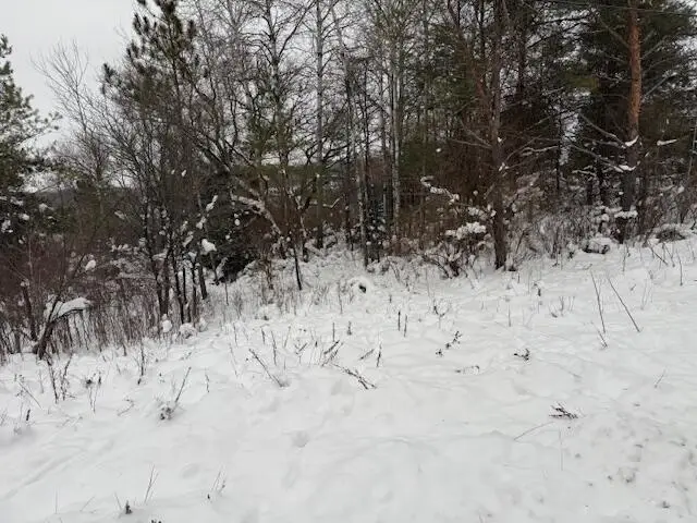 Apache Pass, Reed City, MI 49677 - Image #3