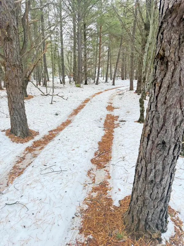 1302 W Tyler Road, Muskegon, MI 49445