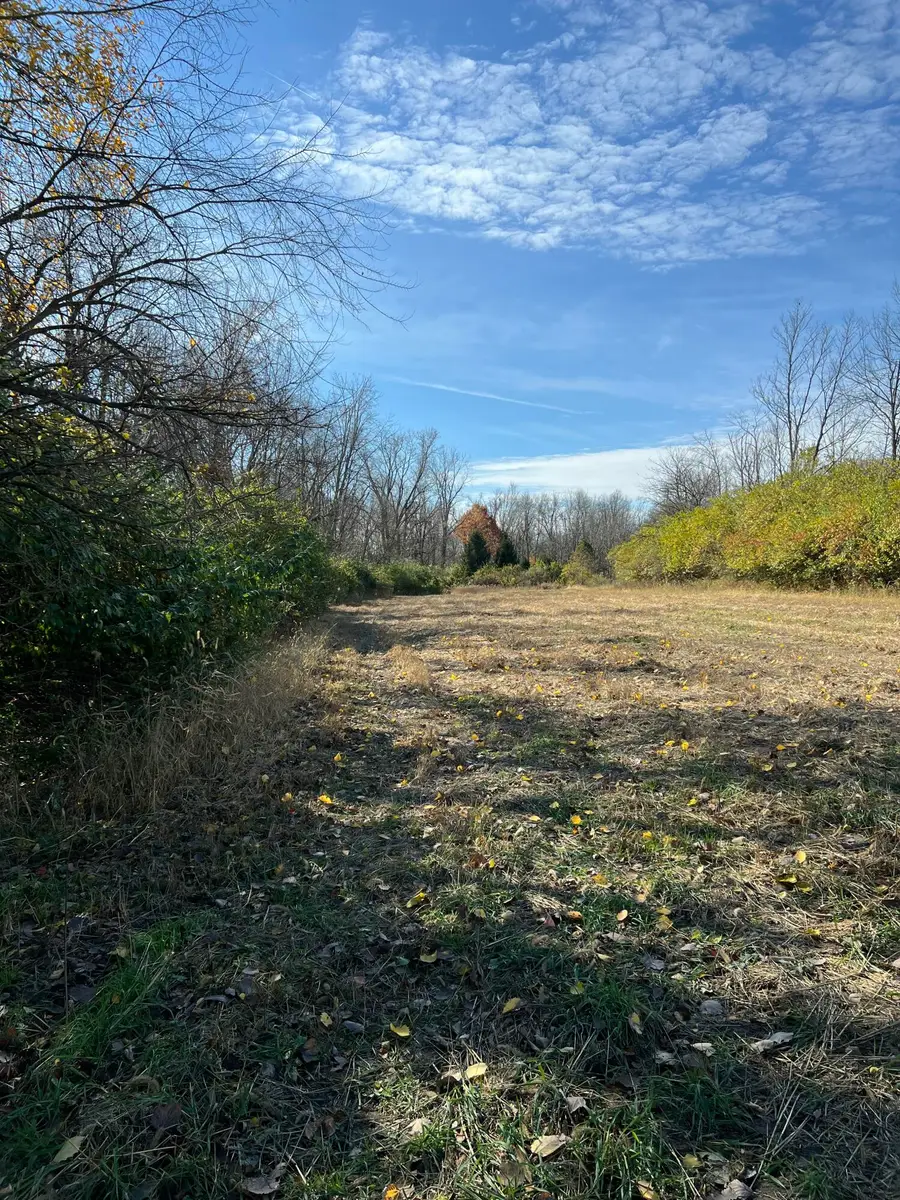 6000 Tomer Road, Clayton, MI 49235 - #2