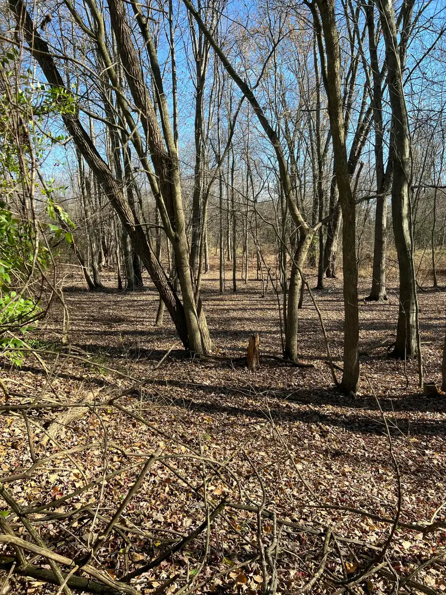 6000 Tomer Road, Clayton, MI 49235 - #3