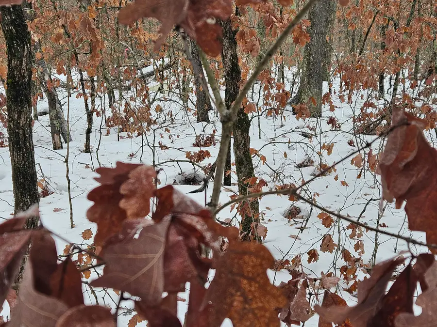 Lots 10-13 W Oliver St Road, Baldwin, MI 49304 - Image #3