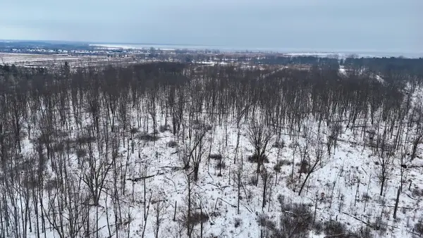 S Santiago Road, Au Gres, MI 48703