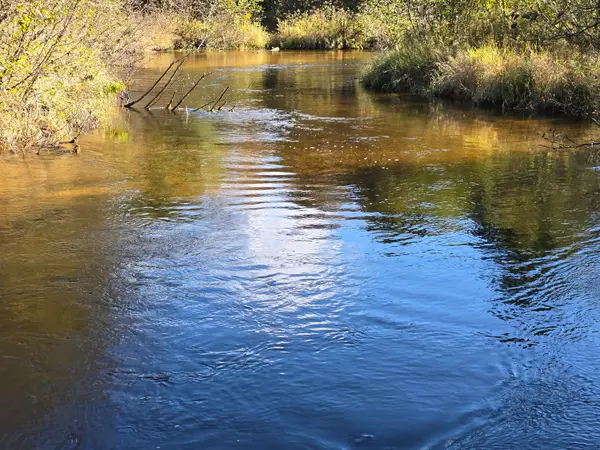 10652 N River Road #D, Irons, MI 49644