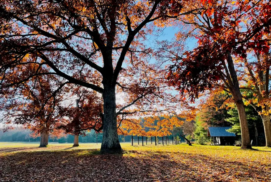 10652 N River Road #D, Irons, MI 49644 - Image #2