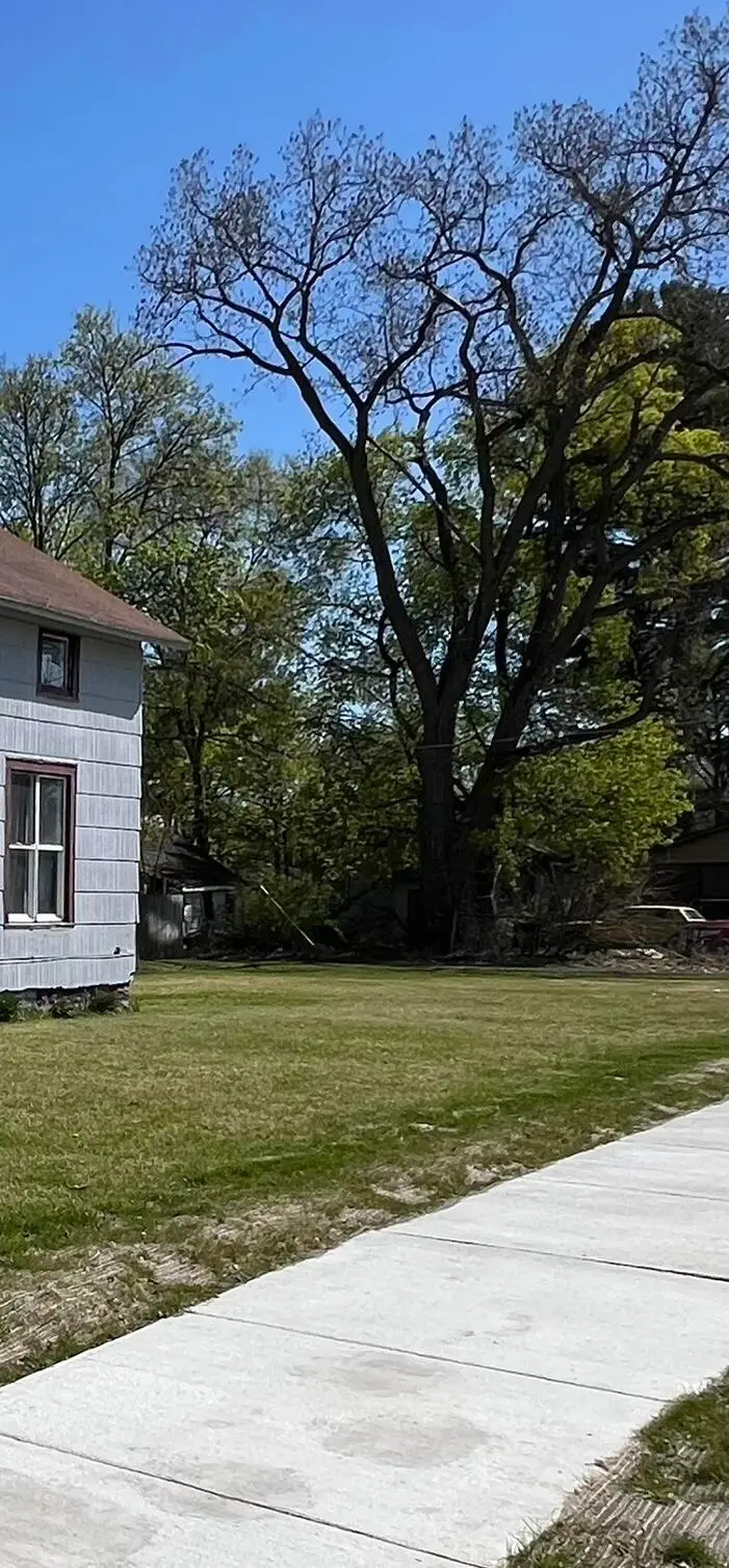 361 E May Street, Benton Harbor, MI 49022 - Image #3