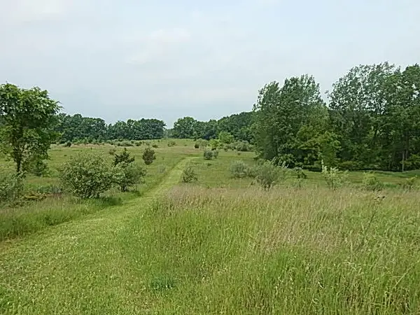 2855 Oakley Road, Stockbridge, MI 49285