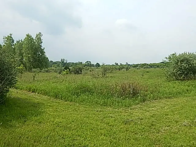 2855 Oakley Road, Stockbridge, MI 49285 - #3